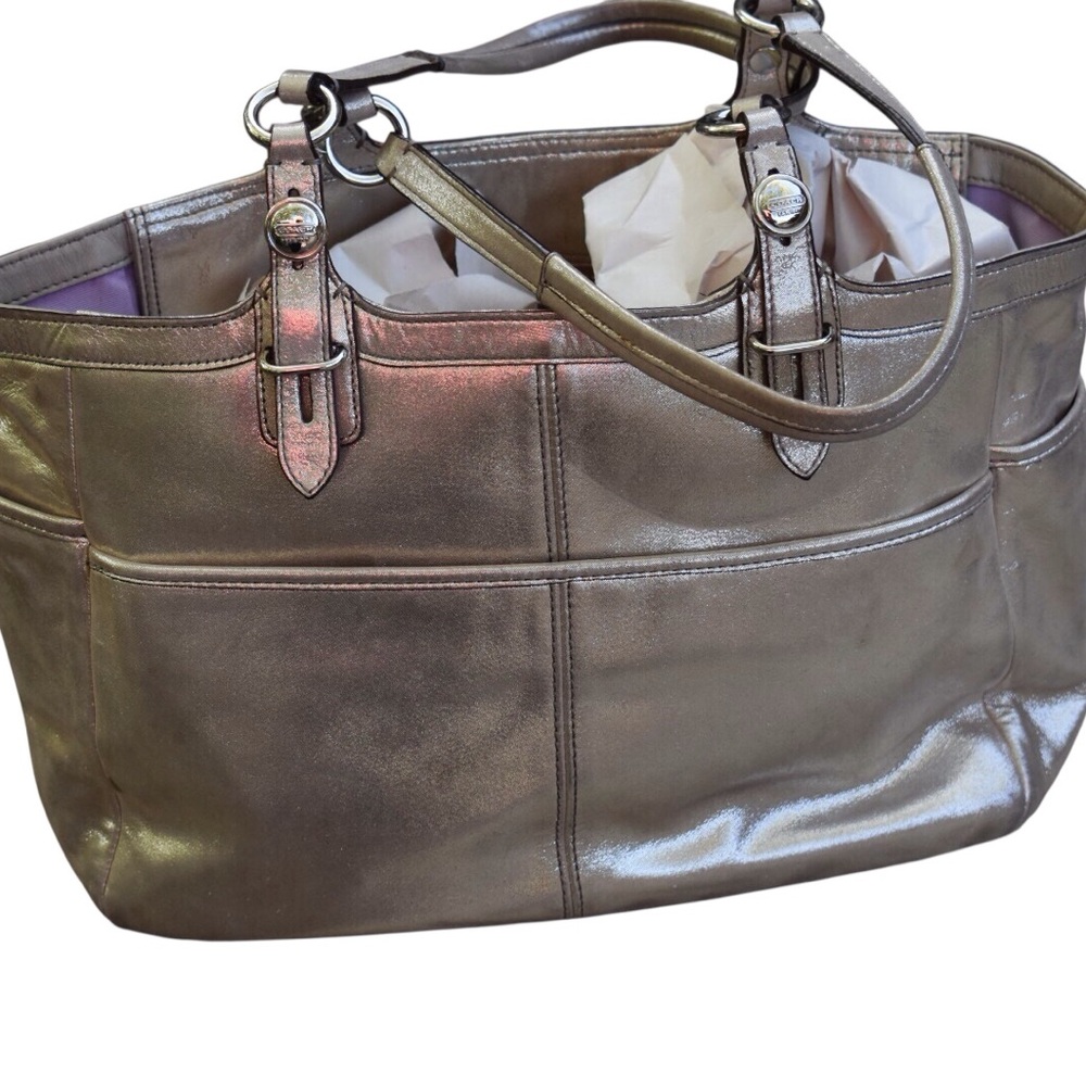 Coach F16565 Metallic purse